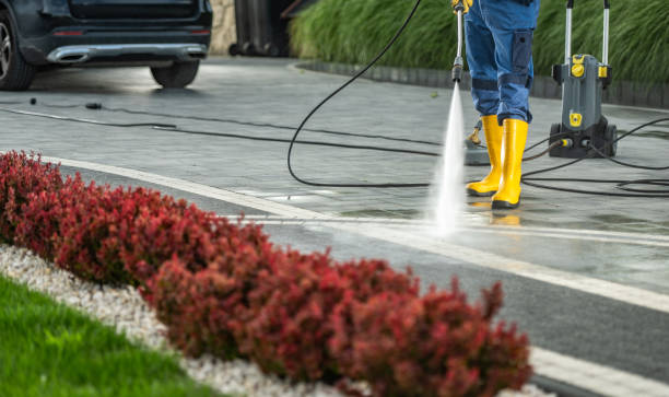 Best Solar Panel Cleaning  in Perryville, AR